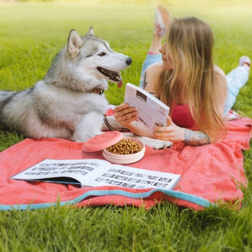 Portable Pet Bowl Set: Collapsible Outdoor Feeder with Snack Container for Dog & Cat Food on Hikes, Camping, and Travel