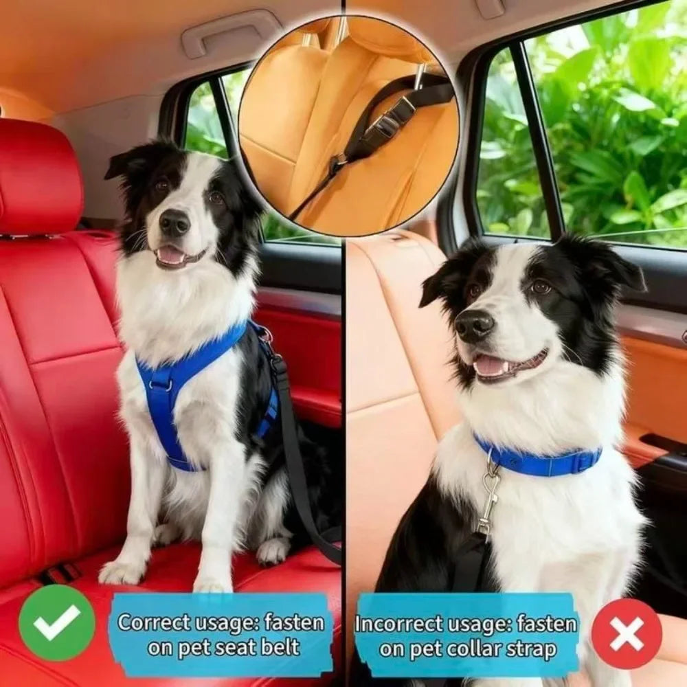 Dog Seat Belt for Vehicle Secure, Pet Car Tether Safety Leash for Dogs In Vehicles, Dog Seatbelt Tether, Christmas Gift