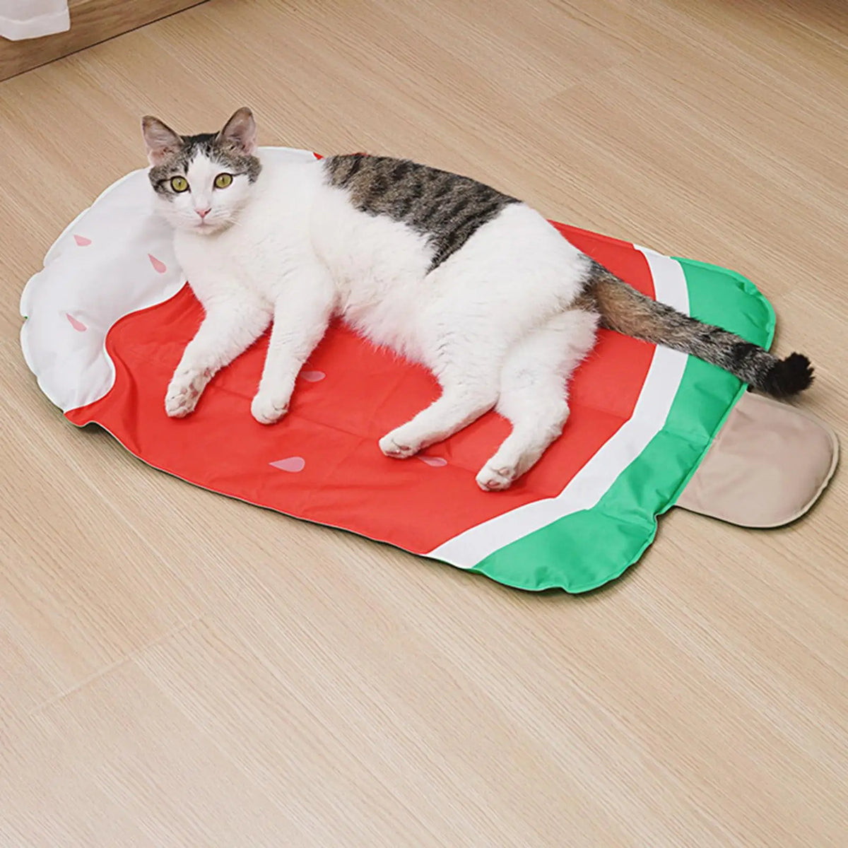 Dog Cooling Mat Portable Dog Cooling Pad Puppy Sleep Cushion Cat Cooling Blanket for Car Seat Kennel Bed Floor